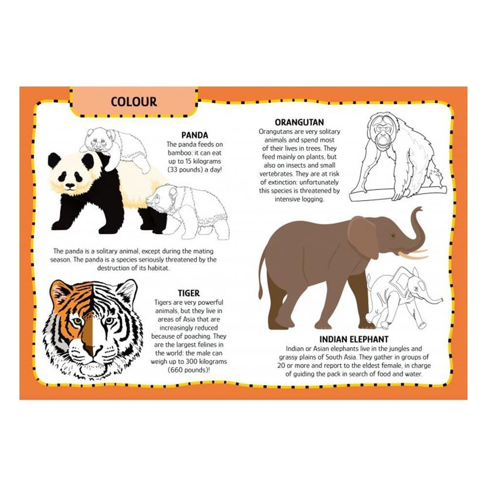 My First Activities Arts And Crafts - Animals