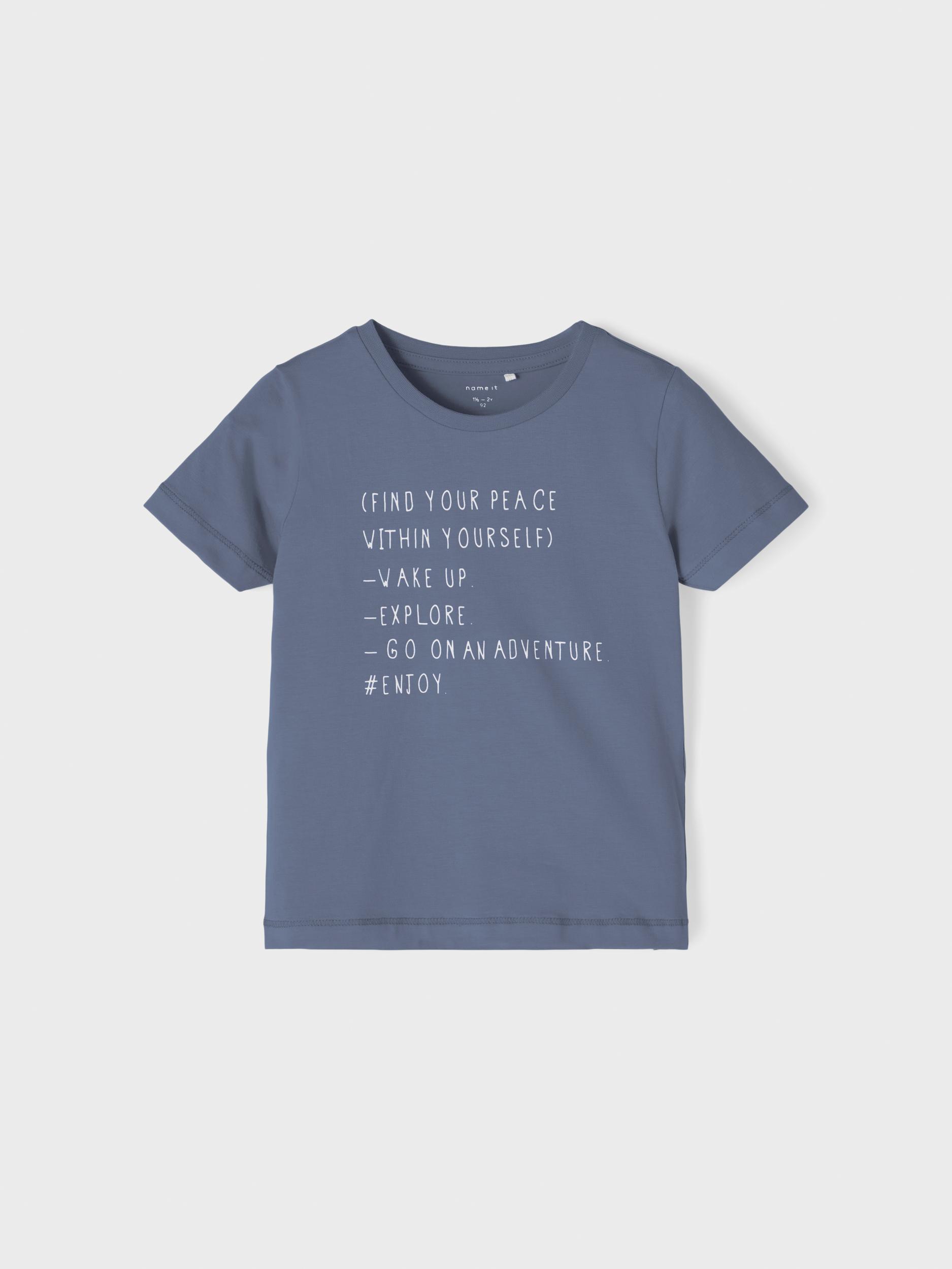 Name it Erkek Çocuk Mavi Tshirt