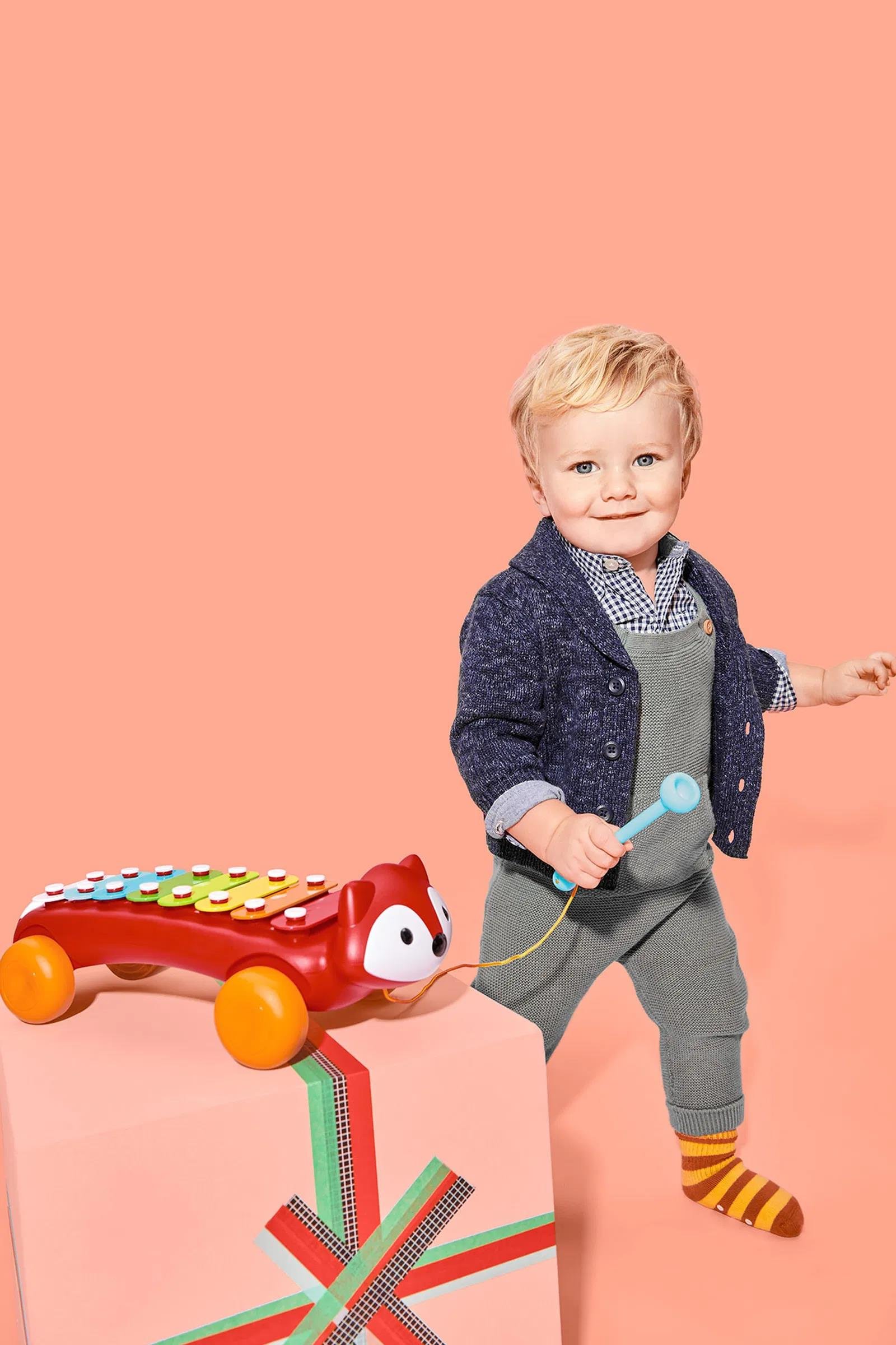 Skip Hop Explore & More Ksilafon Tilki 12 Ay+