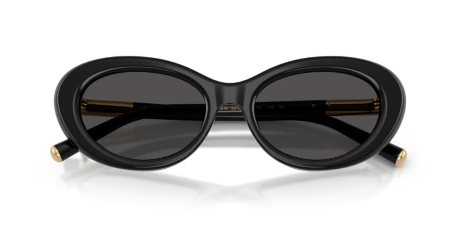 Dolce&Gabbana DG 4519 501/87 54 Kadın Güneş Gözlüğü