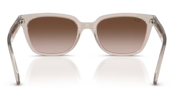 Rayban 2243D 682713 55 kadın güneş gözlüğü