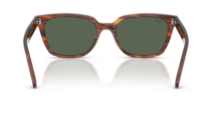 Rayban 2243D 954/71 55 kadın güneş gözlüğü