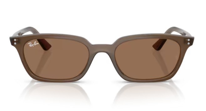 Rayban 4456 677973 53 Kadın Güneş Gözlüğü