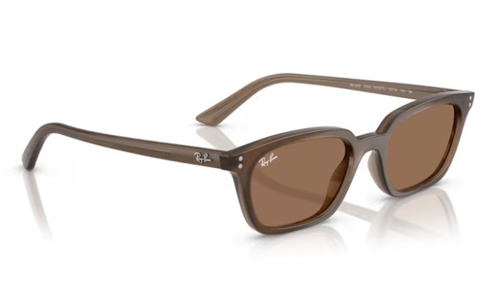 Rayban 4456 677973 53 Kadın Güneş Gözlüğü