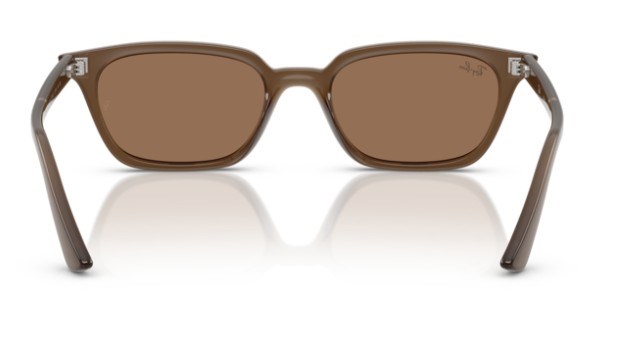 Rayban 4456 677973 53 Kadın Güneş Gözlüğü