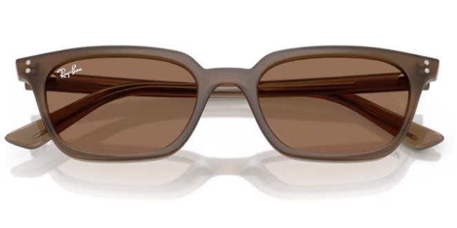Rayban 4456 677973 53 Kadın Güneş Gözlüğü