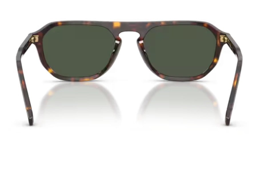 Vogue 5752 W6569A 54 Erkek Güneş Gözlüğü