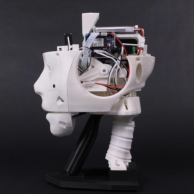 EZ-InMoov Gelişmiş Robotik Kafa Kiti