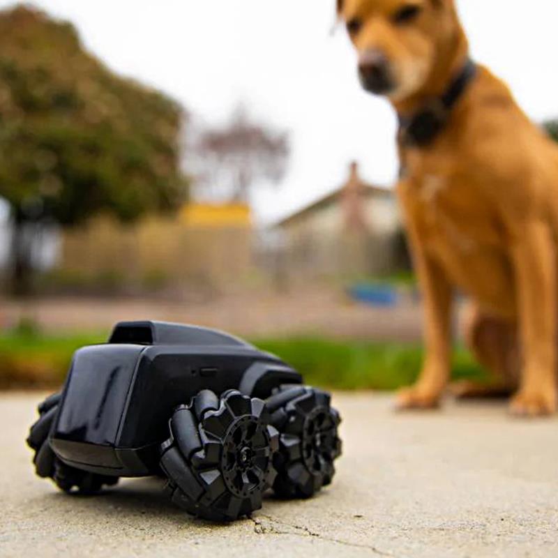 Moorebot Scout AI Destekli Otonom Mobil Robot