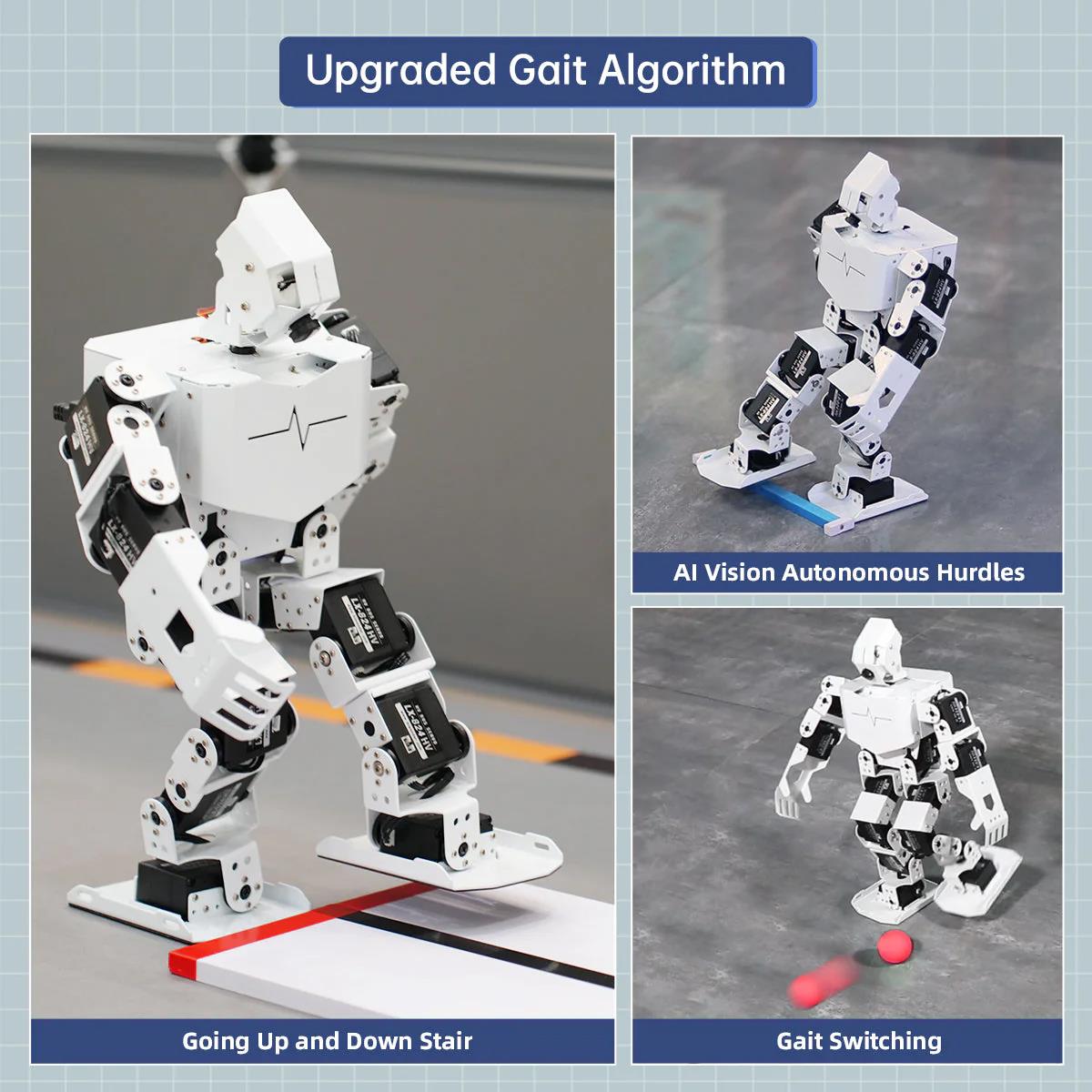 Hiwonder TonyPi Pro YZ İnsansı Robot