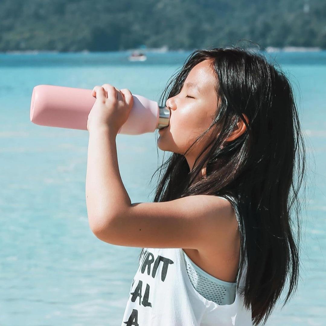 LARQ Bottle PureVis UV Su Arıtıcı Kendini Temizleyen Yalıtımlı Paslanmaz Çelik Su Şişesi
