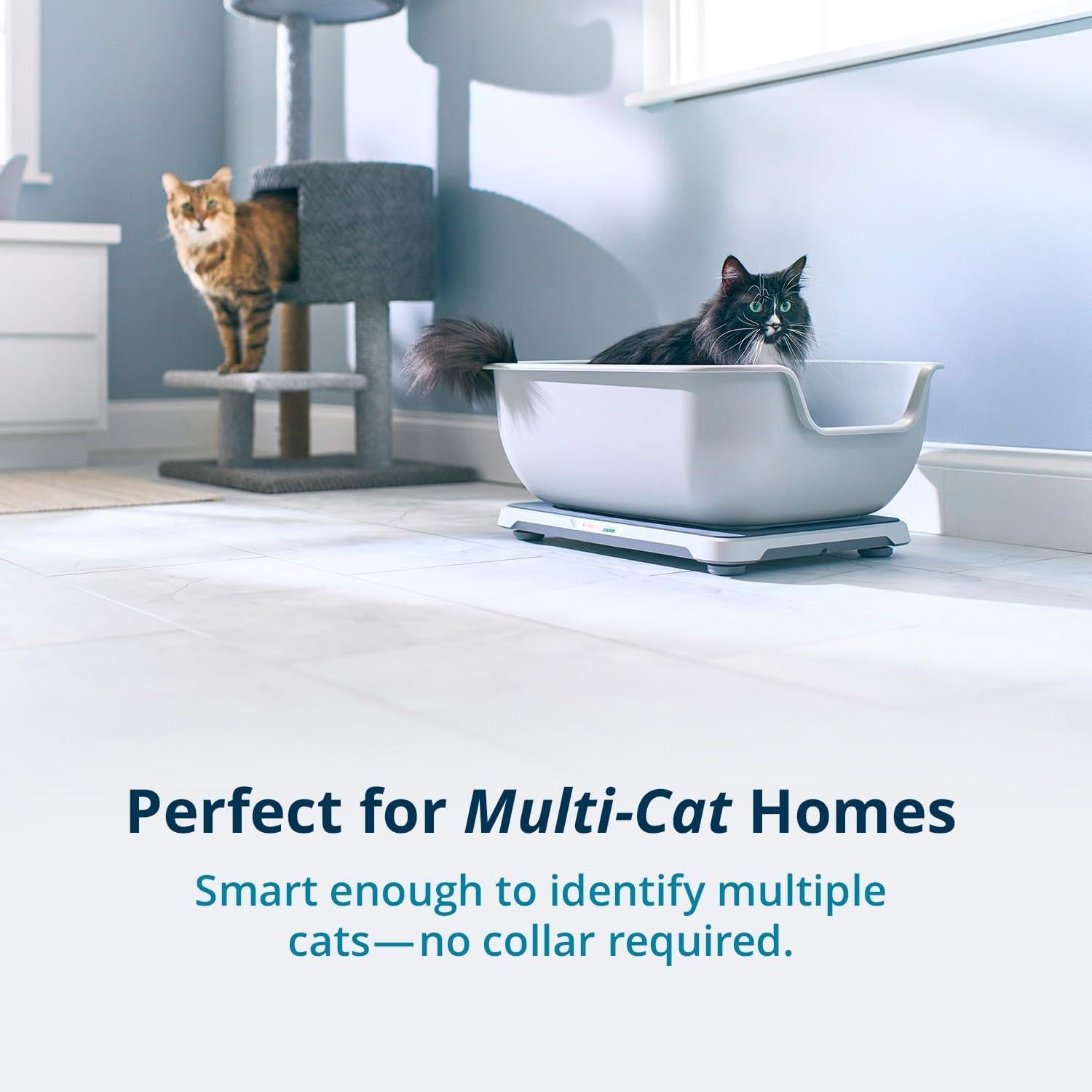 Petivity Akıllı Kedi Kumu Kabı Sağlık İzleme Sistemi