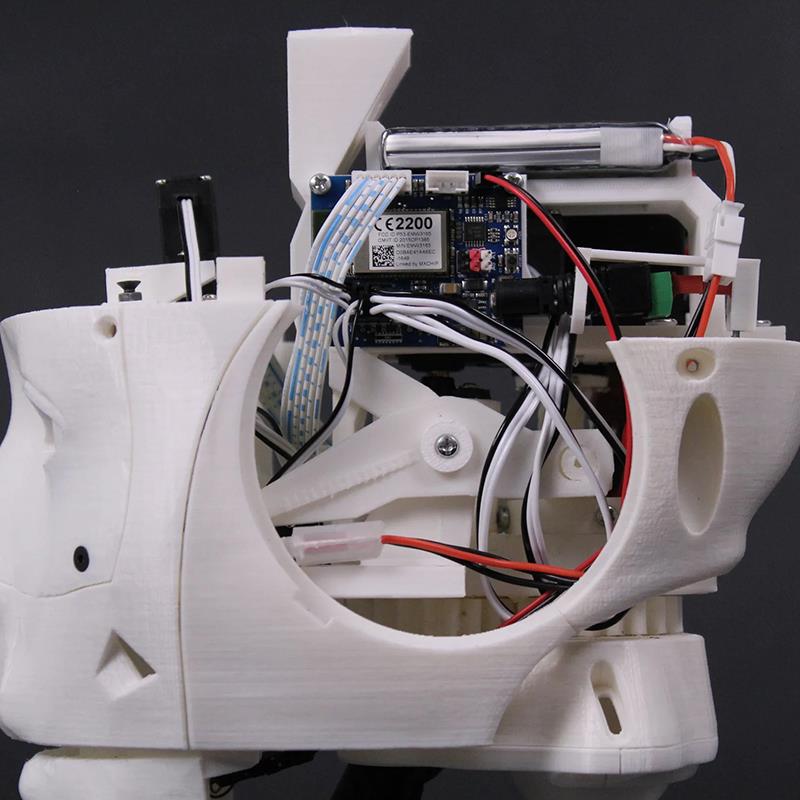 EZ-InMoov Gelişmiş Robotik Kafa Kiti