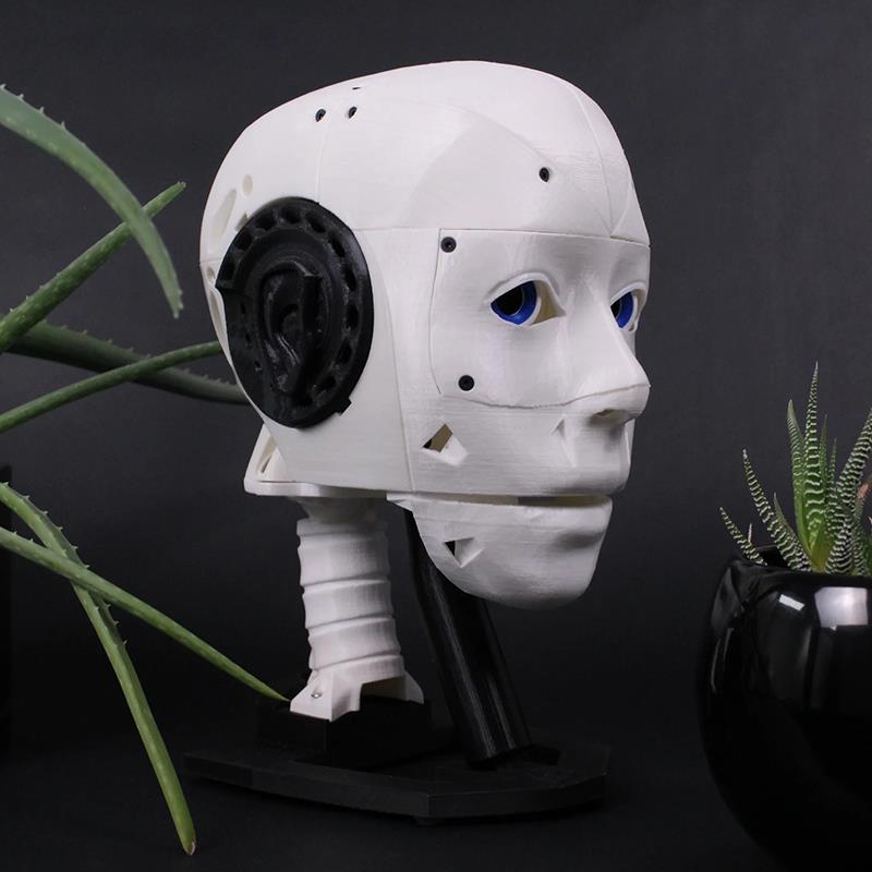 EZ-InMoov Gelişmiş Robotik Kafa Kiti