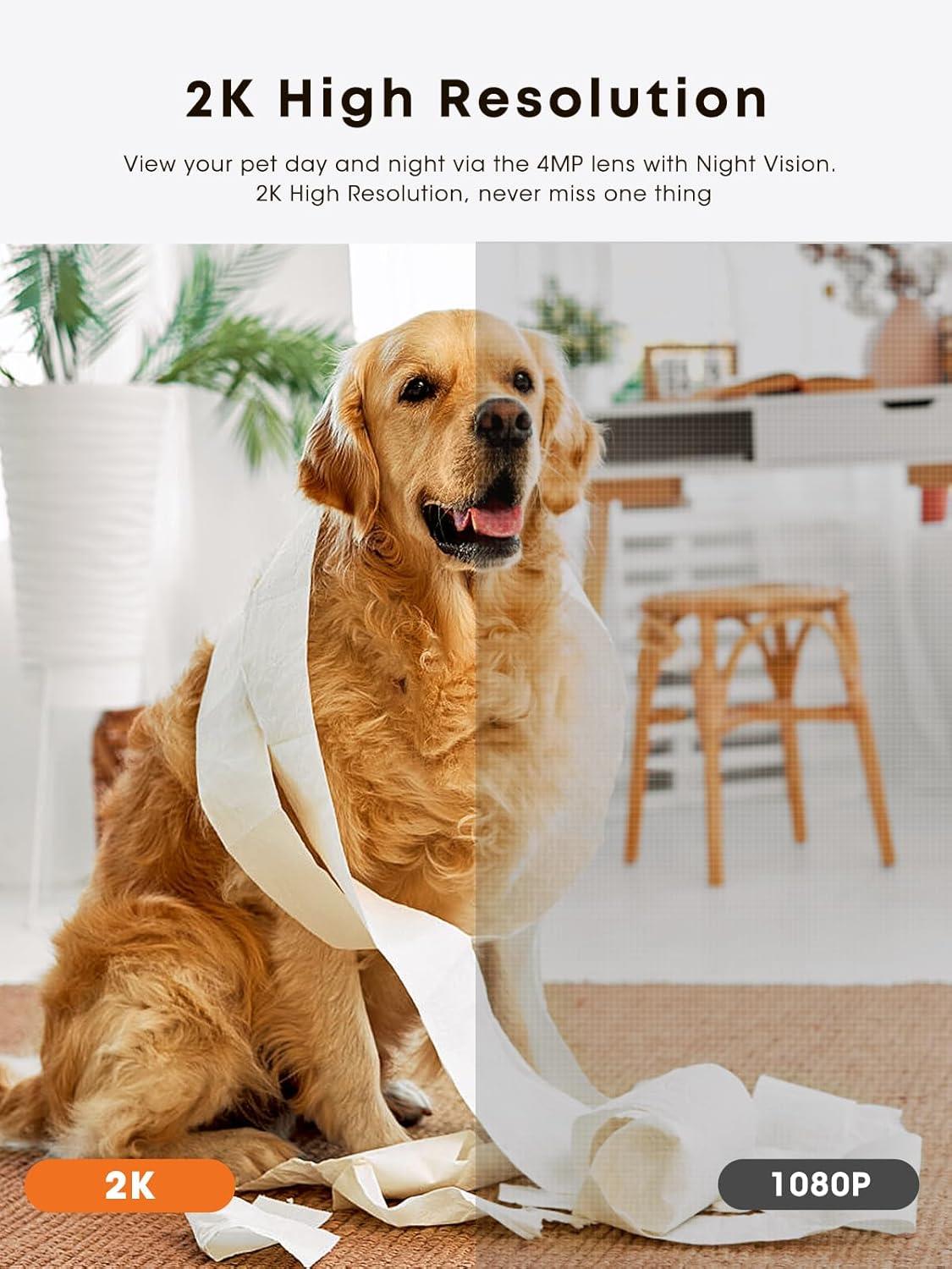 Dokoo Ödül Mama Dağıtıcılı Köpek Kamerası