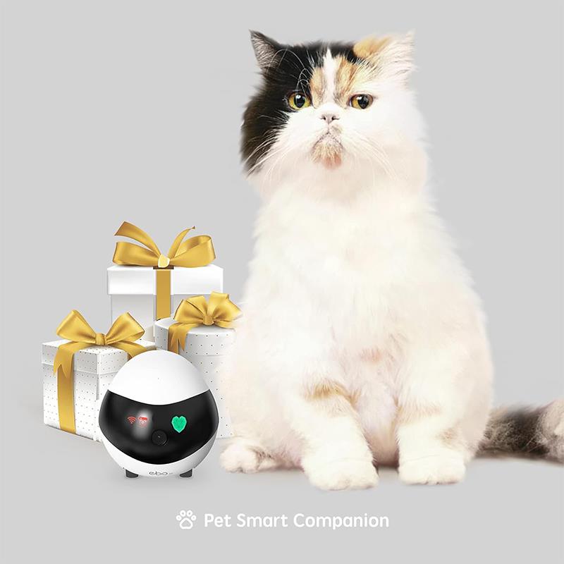 Enabot EBO SE Çocuk Yaşlı Pet ve Ev Güvenliği İçin WiFi Kamera Robotu