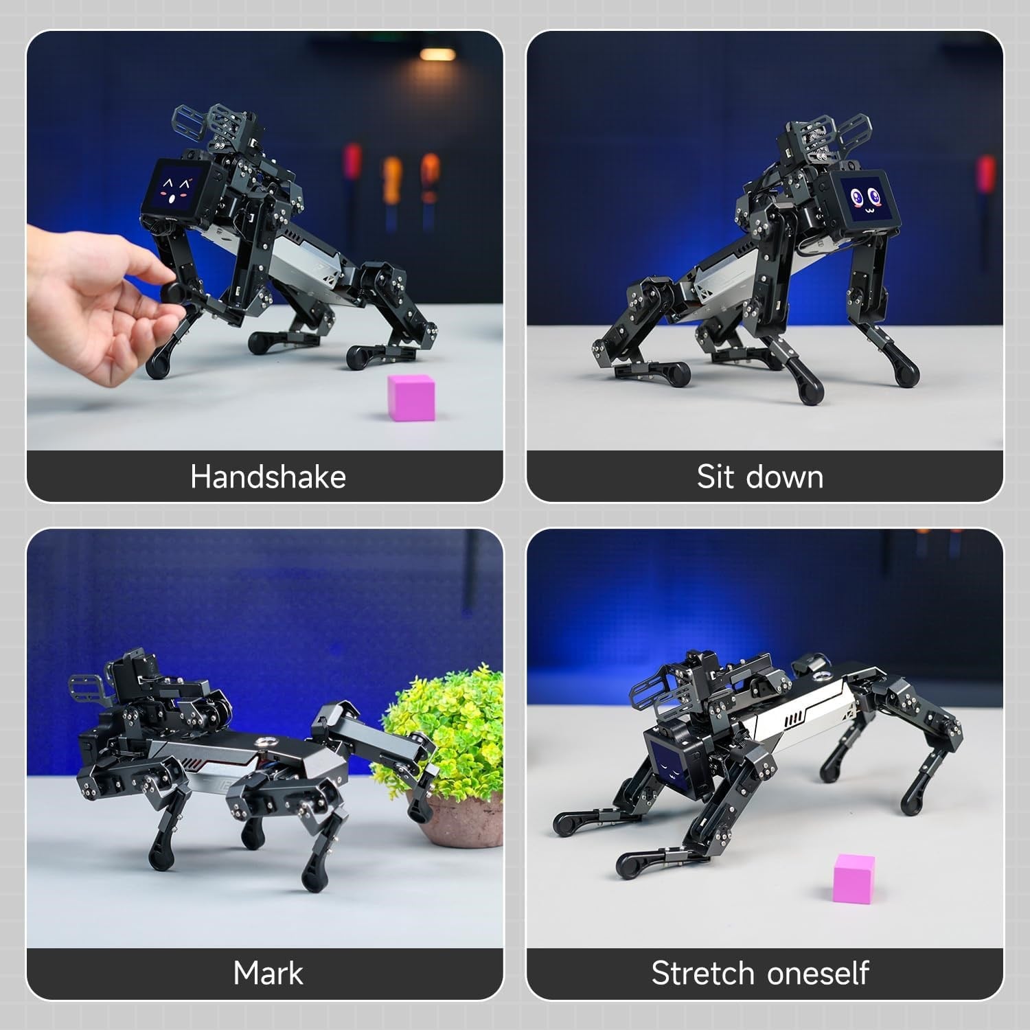 Yahboom DOGZILLA Lite CM4 AI Raspberry Pi Destekli Robot Köpek