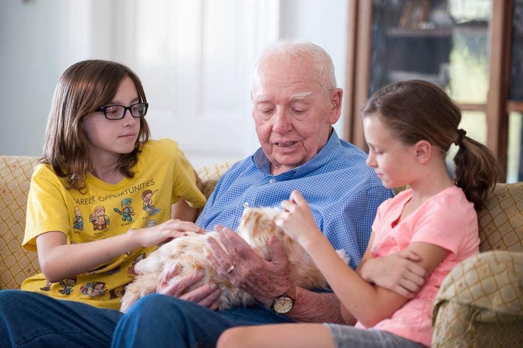 JOY FOR ALL Gerçekçi Etkileşimli Turuncu Tekir Kedi