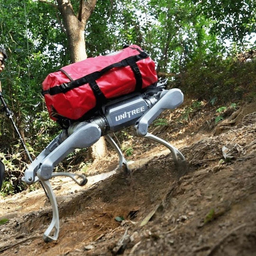 Unitree A2 Robot Köpek