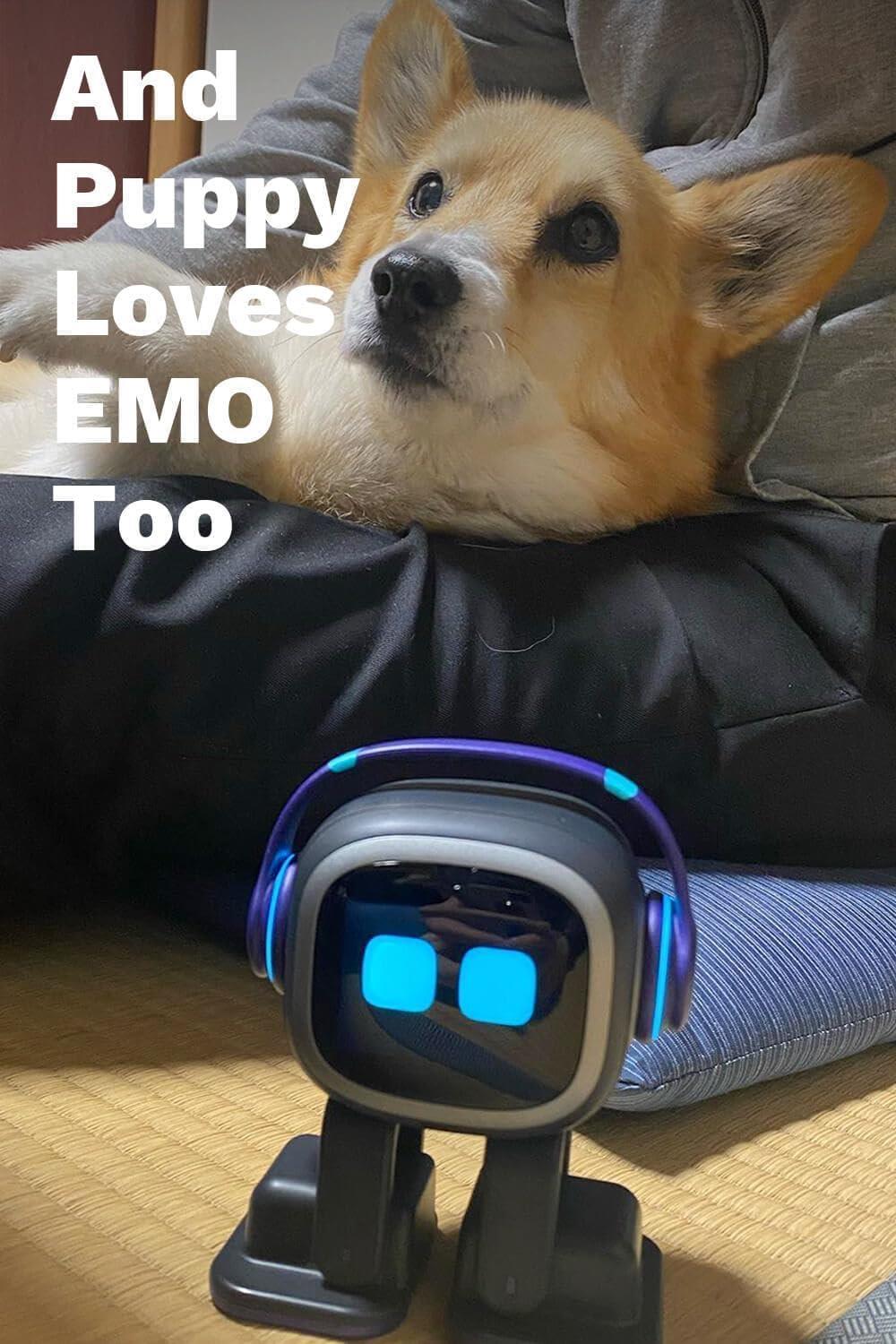 EMO Go Home AI Masaüstü Pet Robot Home Station İle Birlikte