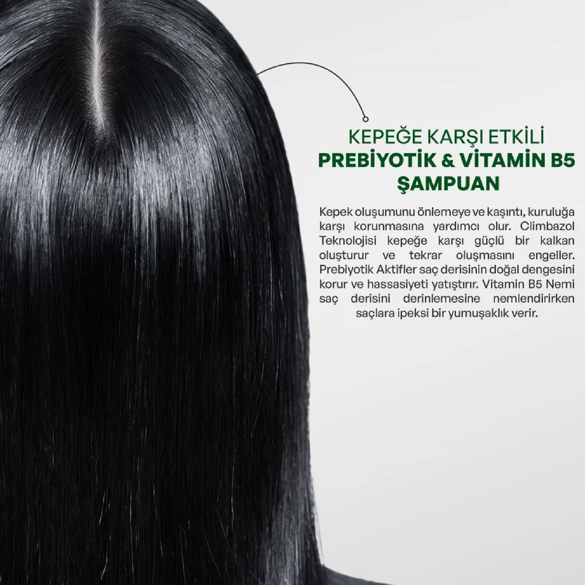Dermokil Prebiyotik & Vitamin B5 Kepeğe Karşı Şampuan 950ml
