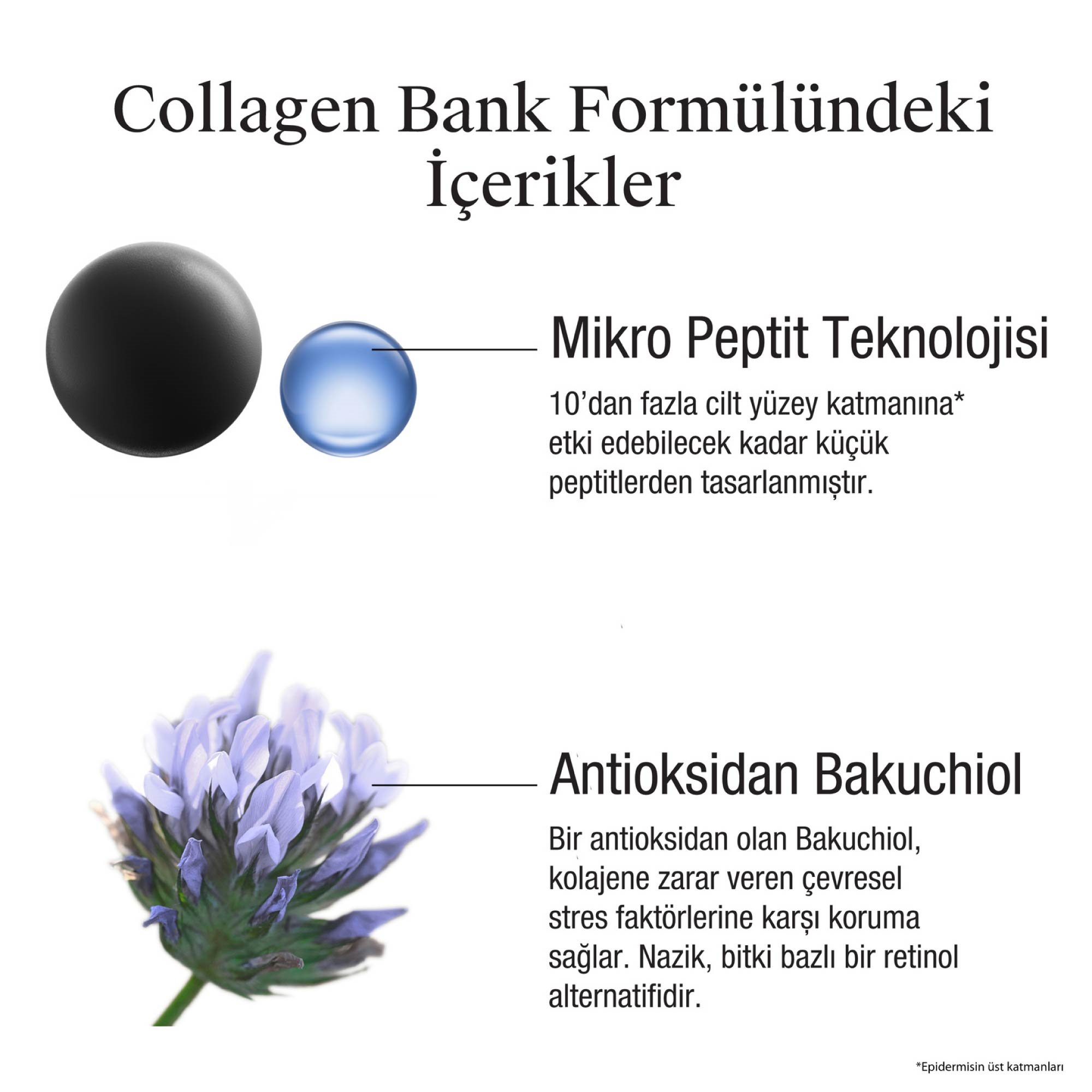 Neutrogena Collagen Bank Nemlendirici Gece Kremi 50 ml