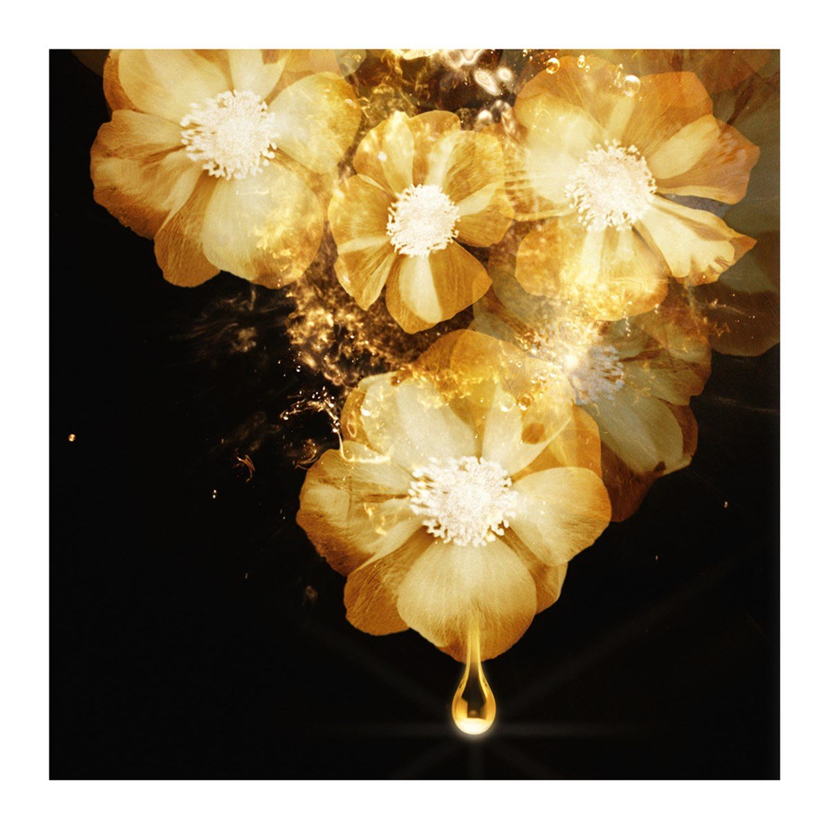 Elseve Mucizevi Yağ Onarıcı 100ml