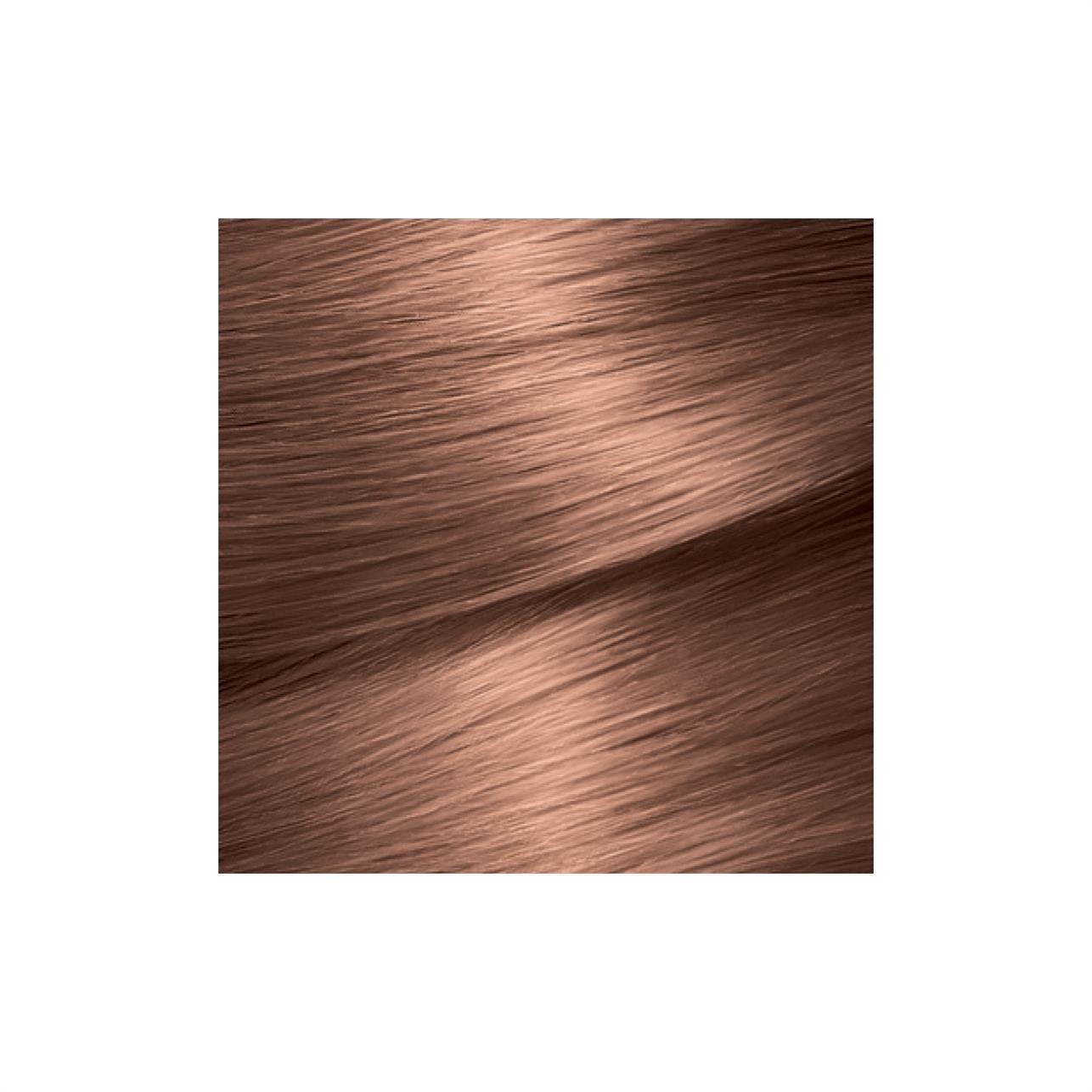 Garnier Color Naturals Creme Saç Boyası Kestane Kahve 6/25