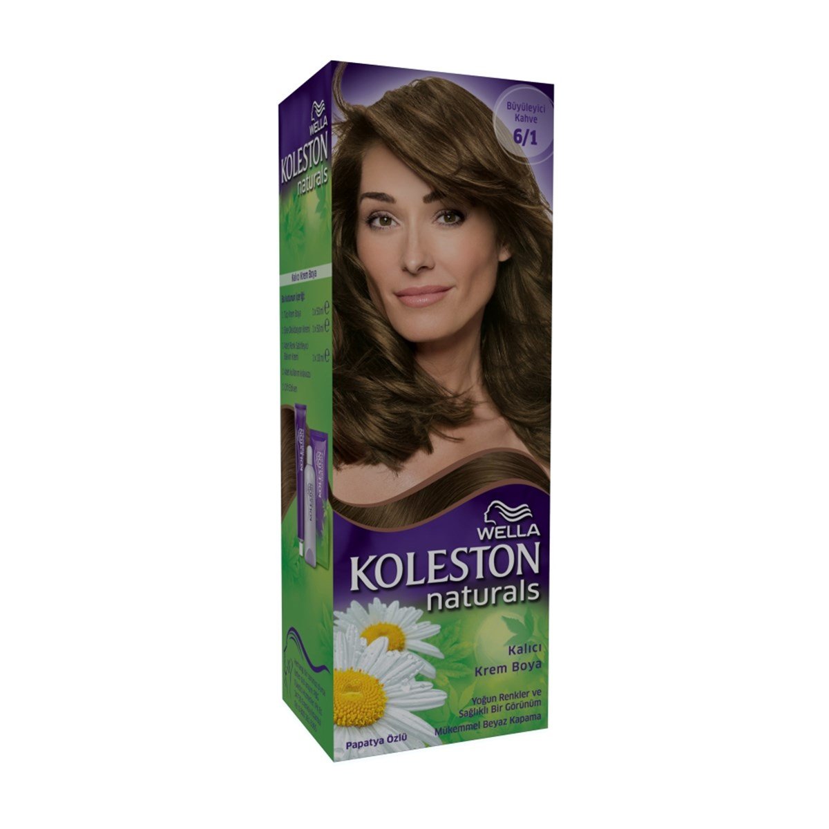 Koleston Naturals Set Boya Büyüleyici Kahve 6/1