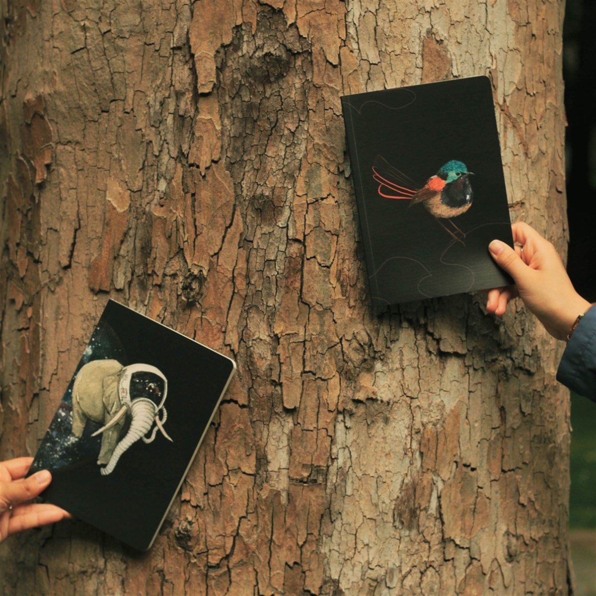 ASTRO DEFTER SETİ