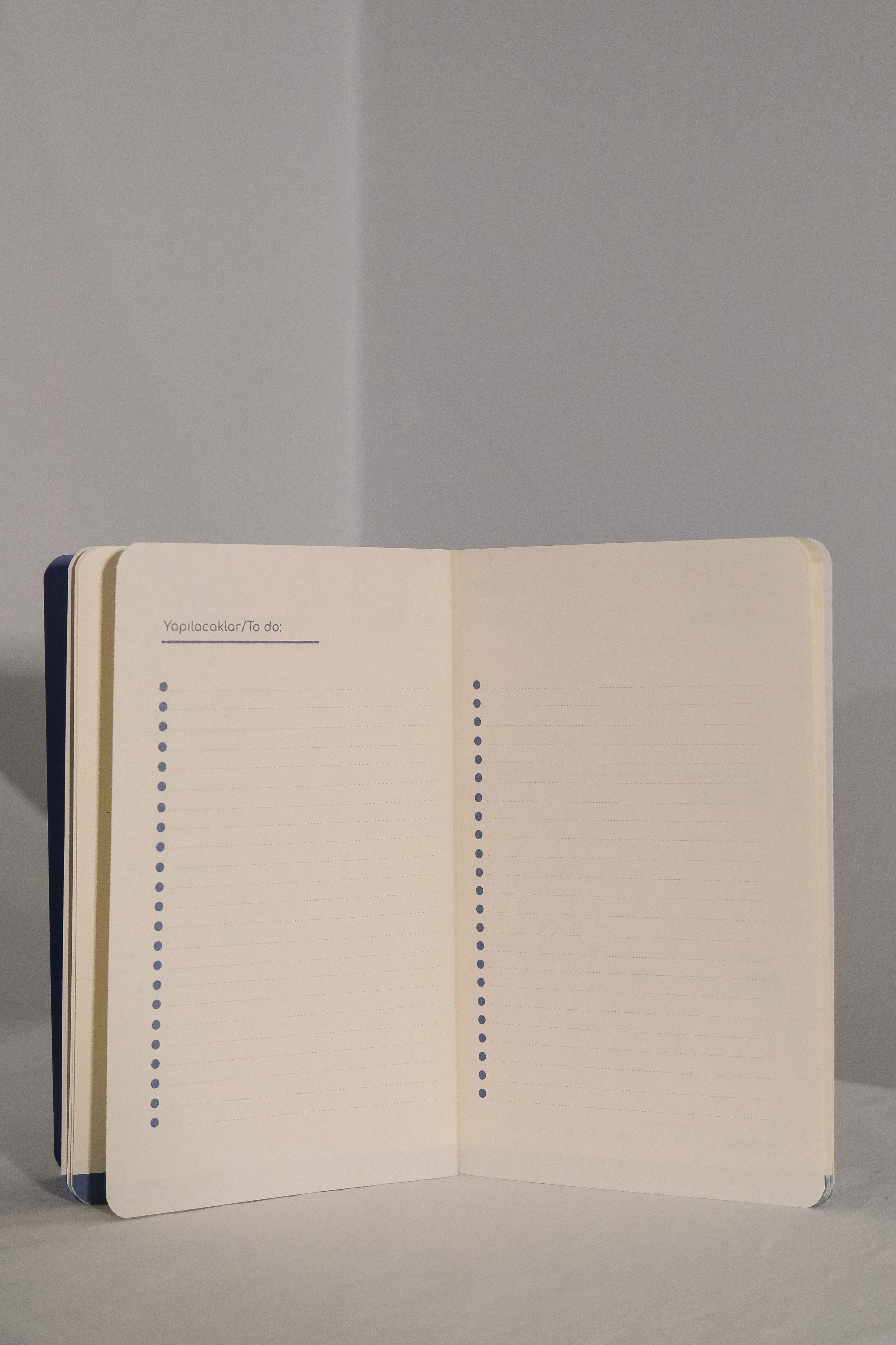 AYLIK PLANLAYICI-MONTHLY PLANNER-BOSNA