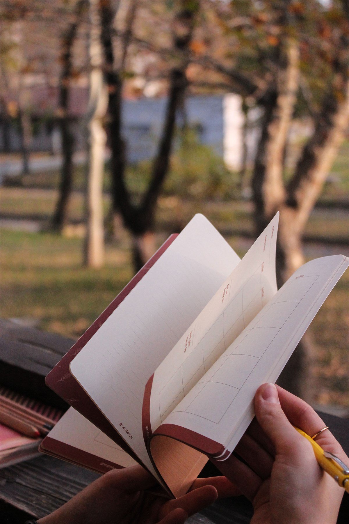 AYLIK PLANLAYICI-MONTHLY PLANNER-ÇÖL