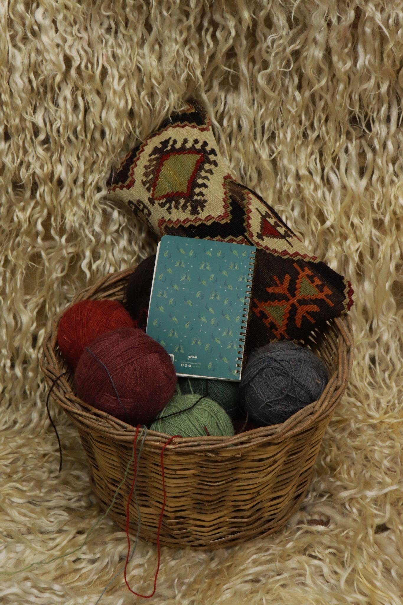 BİR YANIM IŞILTILI BİR TAVUSKUŞU SPİRALLİ DEFTER