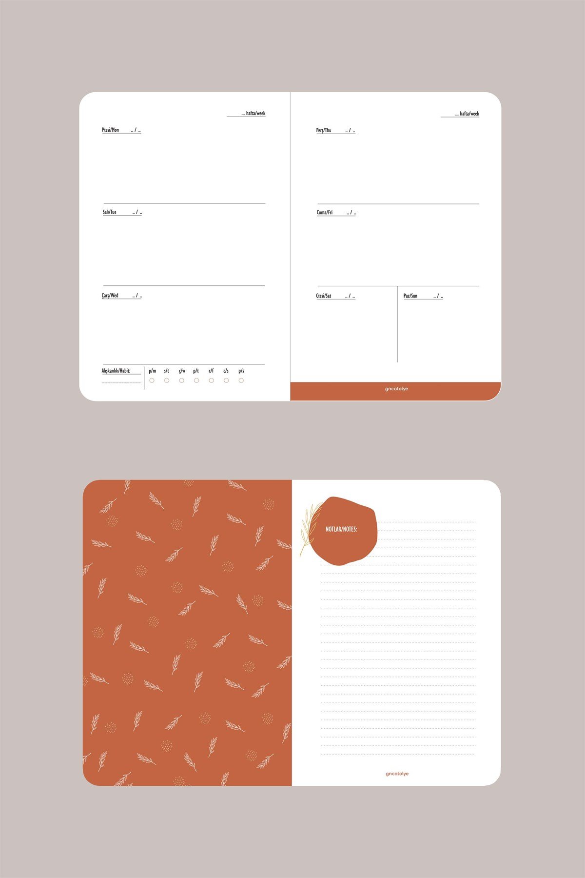 ÇÖL-AJANDA MODELİ