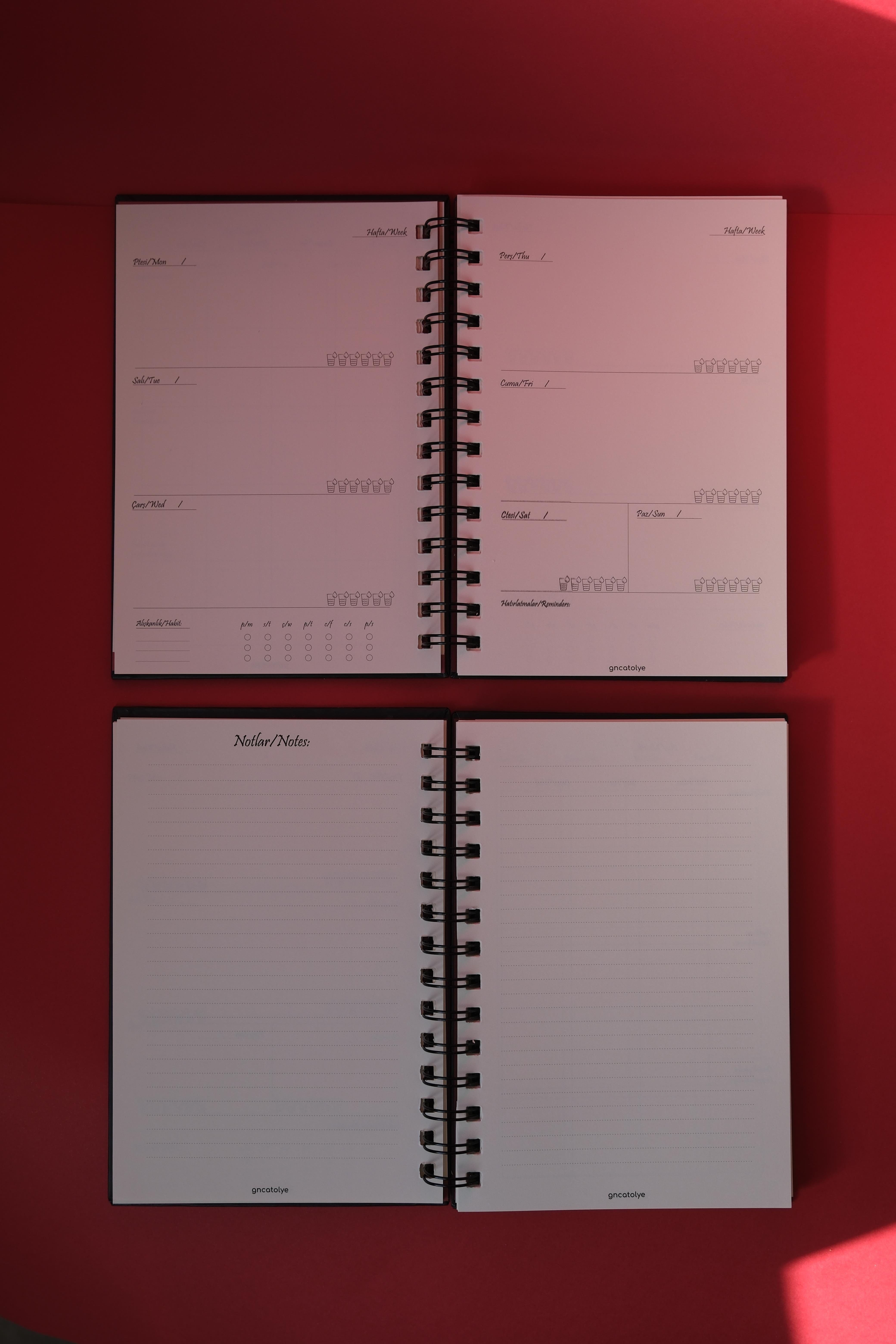 FİLİSTİN AJANDA/YILLIK PLANLAYICI