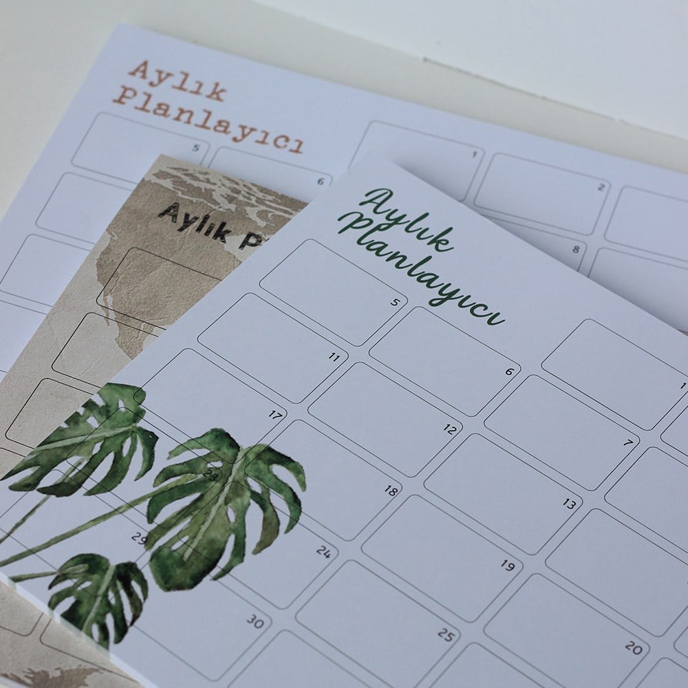 MONSTERA