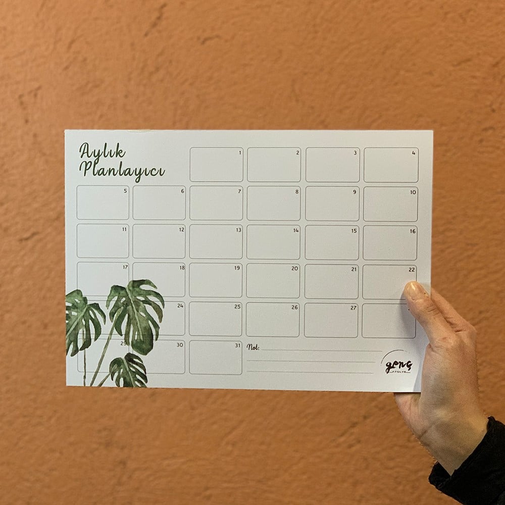 MONSTERA