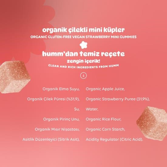 Organic Gluten-Free Vegan Strawberry Mini Cubes