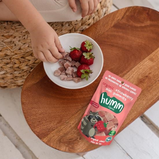 Organic Gluten-Free Vegan Strawberry Mini Cubes