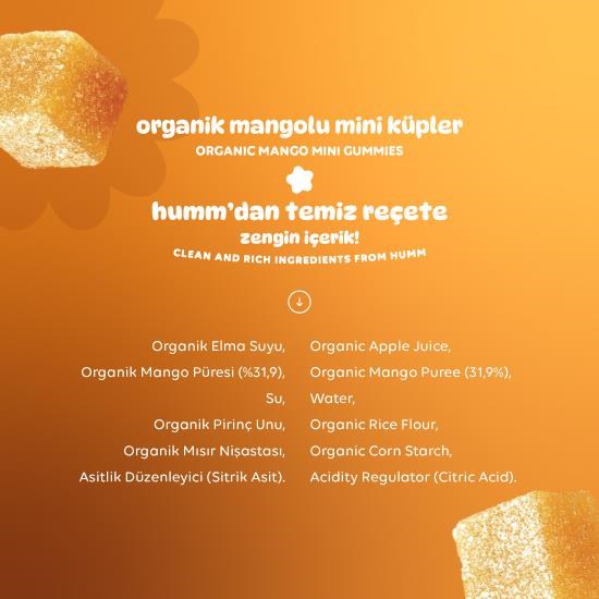 Organic Gluten-Free Vegan Mango Mini Cubes – 30g