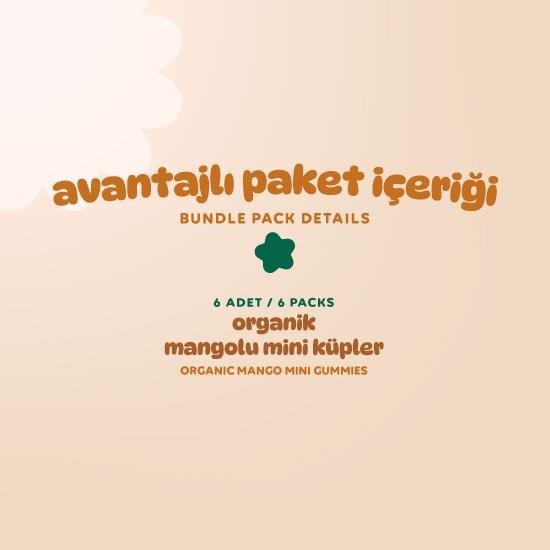 Organic Gluten-Free Vegan Mango Mini Cubes Snack Pack - 6 Pieces