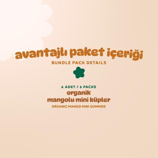 Organic Gluten-Free Vegan Mango Mini Cubes Snack Pack - 6 Pieces