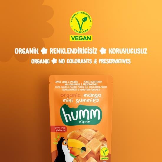 Organic Gluten-Free Vegan Mango Mini Cubes – 30g