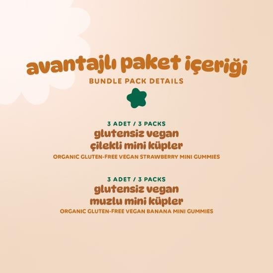 Organic Gluten Free Vegan Mini Gummies Snack Pack - 6 Pieces (2 Varieties)