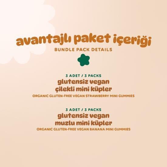 Organik Glutensiz Vegan Mini Küpler Atıştırmalık Paketi - 6 adet (2 çeşit)