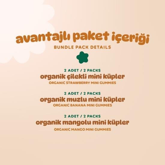 Organic Gluten-Free Vegan Banana, Strawberry & Mango Mini Cubes Snack Pack – 6 Pieces (3 Varieties)