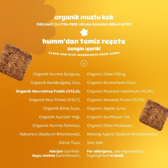 Organic Gluten-Free Vegan Bananabread Bites – 30G