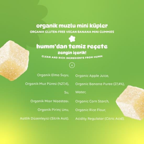 Organik Glutensiz Vegan Muzlu Mini Küpler - 30g