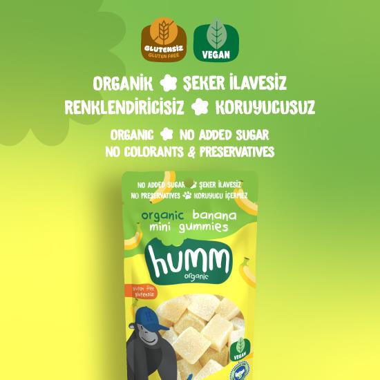 Organik Glutensiz Vegan Muzlu Mini Küpler - 30g