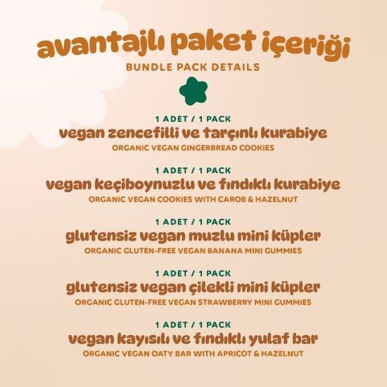Organik Vegan Ara Öğün Atıştırmalık Paketi- 5 adet (5 çeşit)